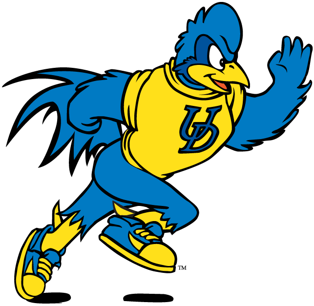 delaware blue hens 1993-pres mascot Logo v10 iron on transfers for clothing